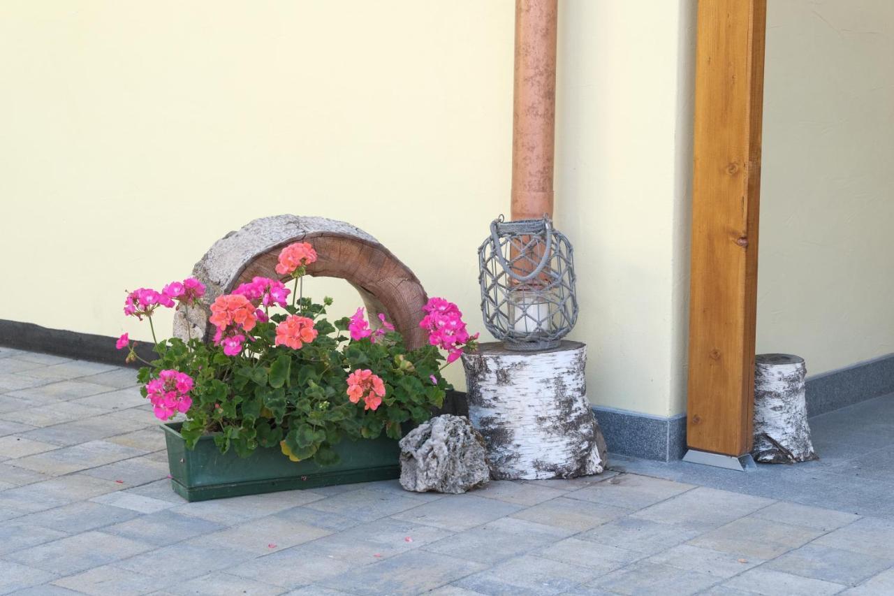 B&B Le Ciorciole Tesero Dış mekan fotoğraf