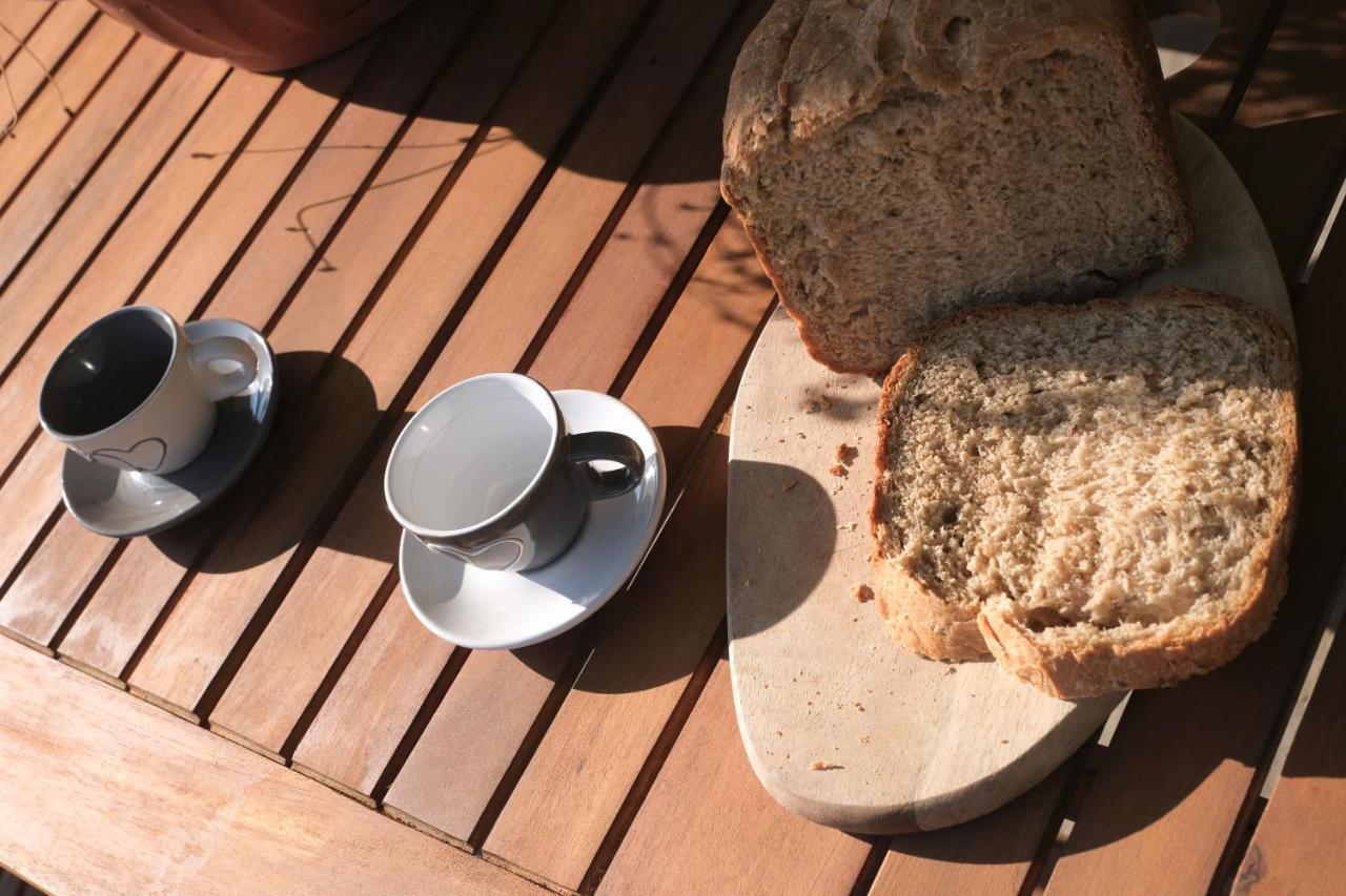 B&B Le Ciorciole Tesero Dış mekan fotoğraf